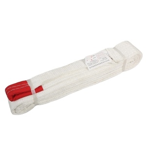 맞춤형 리프팅 장비 끝없는 유형 슬링 견인 스트랩 리프팅 벨트 좋은 가격 - Product Image 5