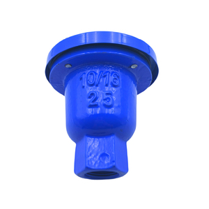Soupape d'échappement en fonte ductile à ouverture unique pour l'eau, à commande manuelle - Product Image 4