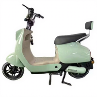 Vélo électrique à assistance au pédalage sans balais haute puissance 500W 48V, longue autonomie, plusieurs couleurs, transport urbain
