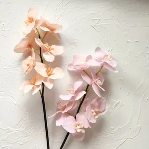 D-OR001 yeni ürün orkide yüksek kaliteli çıplak renk dekoratif çiçekler phalaenopsis orkide düğün ev dekor için