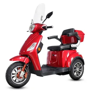 XL Tricicli Portatori di Handicap Scooter Per Gli Adulti 1000W 3 Ruote Scooter Elettrico
