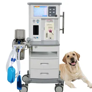 User Friendly Minimum Flow Inhalation Veterinary Anaesthesia Machine