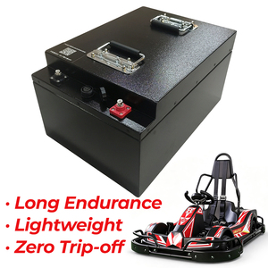 Batterie au lithium 48V 100Ah pour karts électriques de location Birel ART N35-E - Product Image 1