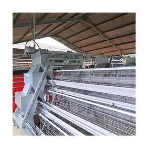 Gran escala pollo pájaro aves de corral un tipo de marco gallinas ponedoras capa jaulas de batería