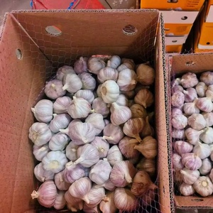 Ajo Chino <span class=keywords><strong>de</strong></span> Nueva Cosecha, Ajo Fresco Orgánico <span class=keywords><strong>de</strong></span> la Mejor Calidad, Cabeza <span class=keywords><strong>de</strong></span> Ajo Púrpura, Blanco Puro, Rojo, Exportación 10kg 20kg, Mayorista - Product Image 4