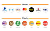 Adaptateur d'alimentation ignifuge 200W 20V 10A avec embout DC/Type-C 5.5/2.5mm, chargeur de remplacement pour Chicony A16 200P1B Hasee Z7/Z8 Gaming