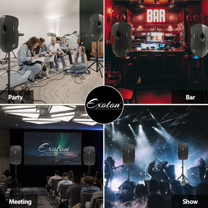 Enceinte active + passive HYANKE EX-10A 10 pouces, 100W RMS, avec USB et radio <span class=keywords><strong>FM</strong></span> - Product Image 4