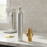 Cylindre de CO2 certifié CE et DOT, recharge de cylindre de CO2 pour eau gazeuse, cylindre de CO2 personnalisable de 0,6 l
