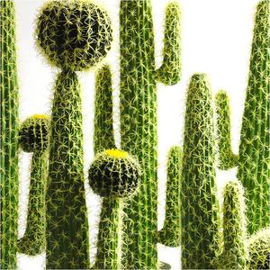 Planta Artificial Blanca <span class=keywords><strong>de</strong></span> Alta Calidad, Flores Artificiales en Maceta Personalizadas, Fabricante <span class=keywords><strong>de</strong></span> Artículos Casi Naturales, Cactus Artificial - Product Image 4