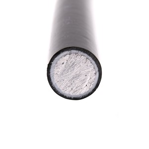0.6/1kv Protección de termitas XZ1 cable - Product Image 6