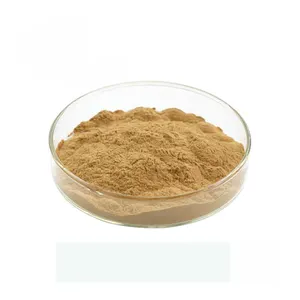 Poudre pure d'extrait de Natrual Rabdosia rubescens 0.5%-98% Oridonin