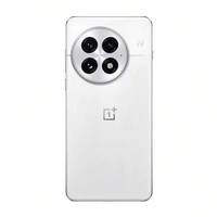 Smartphone OnePlus 13 5G, écran AMOLED 6,8 pouces 3168x1440 120Hz, processeur Octa Core, batterie 6000mAh, NFC, Android 15, appareil photo 16MP, caméra frontale 32MP, charge rapide 100W