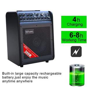 Amplificador de Sonido para el Hogar de 6 Canales y 300 Vatios, Funciona con Batería, Diseño Metálico, con Molde Privado - Product Image 4