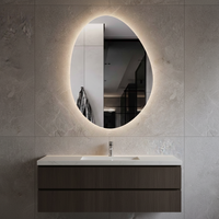 Miroir de salle de bain ovale moderne sans cadre à LED personnalisable, de luxe, anti-buée, grossissant, éclairé, à intensité variable avec capteur tactile