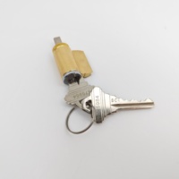 Cylindre de serrure à mortaise haute sécurité en laiton, personnalisé en usine, avec clés en acier pour armoire de commande, vente en gros