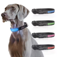 Collier LED rechargeable par USB pour chien, étanche, visibilité 500 m, 12 h de luminescence, sécurité, nylon, pour chiens de petite/moyenne/grande taille