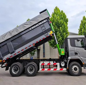Modello da Esportazione SHACMAN X3000 8x4 da 390 CV: Progettato per Massima Durabilità in Miniere e Movimento Terra - Product Image 5