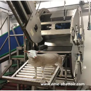 Slachthuis Levende Schapen/Geiten Halal Doding Box Slachthuis Machine En Gereedschap Slachtapparatuur Schapenmachines