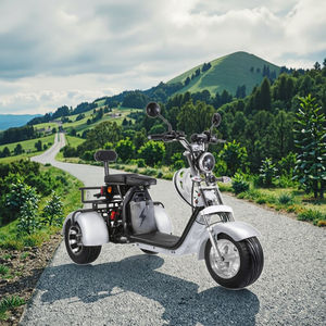 سكوترات كهربائية كوكو سيتي سيف بقوة 1500 واط و2000 واط متوفرة بمخزون مستودع الصين 2025 - Product Image 1