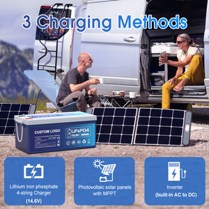 Paket Baterai Lithium Ion Li-ion LifePo4 12V 24V 36V 48V 23Ah 50Ah 100Ah 200Ah 300Ah yang Dikustomisasi untuk Robot Drift Cart - Product Image 5