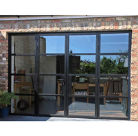 Nieuwe Stijl Ontwerp Aluminium Staal Openslaand Raam Ijzer Venster Grill Crittall Franse Deuren