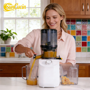 Extracteur de Jus Lent Silencieux pour Fruits et Légumes Entiers, Machine à Jus 65dB pour Usage Domestique et Commercial avec Réduction Tarifaire - Product Image 2