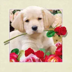 Custom 40x40cm 5D lenticular pictures poster printing wall decoration picture 3d picture dog cat photo with frame