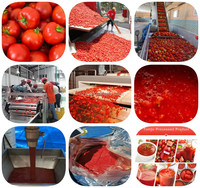 Tomatenketchup Productielijn Tomatenpuree Maken Machine Kalkoen