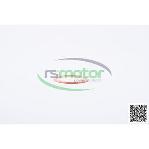 Anillo de sellado Jenbacher para piezas de motor de maquinaria - Product Image 1