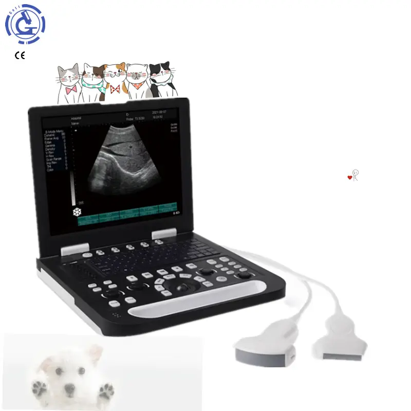 Portátil 15 "Pantalla portátil terapia de ultrasonido MSK unidad ultrasónica conjunta