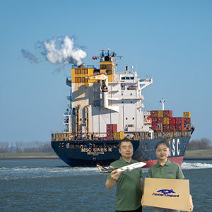 Campione gratuito di spedizione SeaShipment da Xiamen Ningbgo Shanghai cina a giappone KR USA DDP - Product Image 2