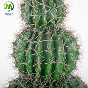 Top Vente <span class=keywords><strong>Cactus</strong></span> Artificiel Balled En Pot Haute Simulation Succulentes Bonsaï <span class=keywords><strong>Prix</strong></span> Usine Faux <span class=keywords><strong>Cactus</strong></span> Plante pour La Décoration - Product Image 5