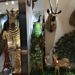 Decoración de Pared para el Hogar, <span class=keywords><strong>Hotel</strong></span>, Club, <span class=keywords><strong>Villa</strong></span>, Colección de Arte de Decoración de Pared con Cabeza de Antílope - Product Image 2