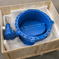 Vanne papillon de boîte de vitesses en fonte ductile de grand diamètre avec siège en caoutchouc pour équipement d'alimentation en eau et de drainage