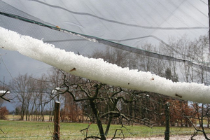 Hex Quad chéo trắng HDPE bóng râm Lưới trồng nho bảo vệ chống mưa đá <span class=keywords><strong>Net</strong></span> - Product Image 2