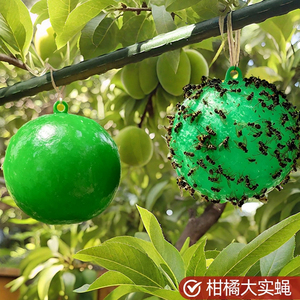 Outdoor Garden Yellow Sticky Ball Trap Fruit Fly Catcher Insect <b>Pest</b> <b>Control</b> Durable Reusable - Product Image 2