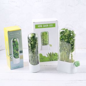 Contenedor cilíndrico para guardar hierbas frescas Herb Savor Eco Herb Keeper con tapa abatible para uso en la cocina - Product Image 1