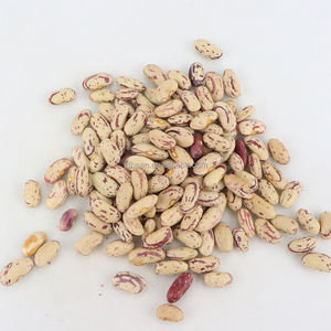 Frijoles Pintos Frijoles de riñón moteados ligeros secos orgánicos Frijoles de azúcar - Product Image 5