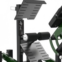 Machine commerciale à charge libre pour hyperextension dorsale, équipement de gym, chaise romaine à 45 degrés pour l'entraînement des fessiers et des ischio-jambiers