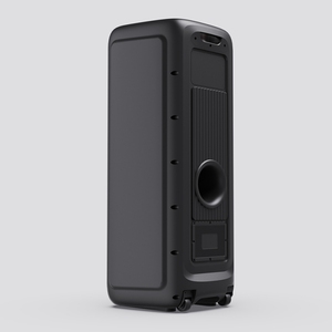 Altavoz de Fiesta de Gran Potencia con Sonido DJ, Altavoz Doble de 12 Pulgadas y 1000w, Altavoces para Karaoke con Micrófono, Luz LED RGB con Efecto de Llama - Product Image 6