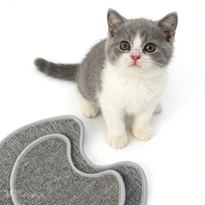 Tapis auto-adhésif de protection pour les griffes de chat, idéal pour la maison, les cafés pour chats et les espaces pour animaux de compagnie - Product Image 3