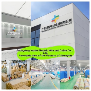 Tùy chỉnh ngoài trời <span class=keywords><strong>dual</strong></span>-che chắn 5E Mạng Cáp nước-chặn <span class=keywords><strong>RJ45</strong></span> kết nối nhà máy-cung cấp CAT5E cáp thông tin liên lạc - Product Image 6