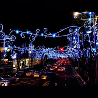 Éclairage LED extérieur étanche IP65 en gros de Chine pour fêtes, Noël, mariages, décoration intérieure et aménagement paysager, télécommandé et à intensité variable