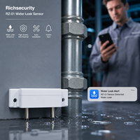 Sensor de Fugas de Agua con Cable RZ-01, Detector de Inundaciones con Sondas Dobles de Alta Sensibilidad para Sistemas de Seguridad en Sótanos y Hogares