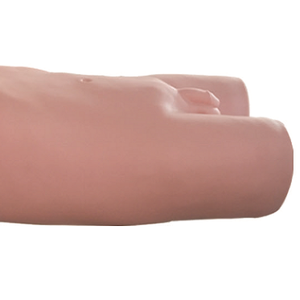 Modèle d'entraînement et d'évaluation à la ponction des ganglions lymphatiques et au ponction du sinus maxillaire ADA CLB130/CSE131 pour l'enseignement médical - Product Image 6