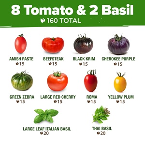 Kit de semis de tomates et <span class=keywords><strong>basilic</strong></span> 100 % non-OGM, variétés anciennes, comprenant Cherry, Roma et Zebra, pour jardinières suspendues en centre commercial - Product Image 5