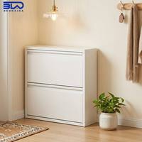 Armoire à chaussures moderne de grande capacité, armoire de rangement pour chaussures en acier, montage rapide, meubles en métal pour salon, hôtel, appartement