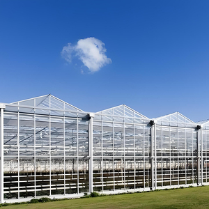Serre commerciale multi-travées en polycarbonate pour la production <span class=keywords><strong>de</strong></span> fraises, <span class=keywords><strong>de</strong></span> baies et <span class=keywords><strong>de</strong></span> fruits avec kit d'irrigation goutte-à-goutte intelligent - Product Image 1