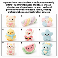 Vente en gros et personnalisation de sucettes en coton sucré, MOQ : 1000 boîtes, BRC Halal, étiquette privée personnalisée
