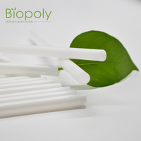 Pailles droites jetables biodégradables en PLA, écologiques, surface lisse, pour smoothies, sodas, milkshakes, fournitures de restauration pour fêtes